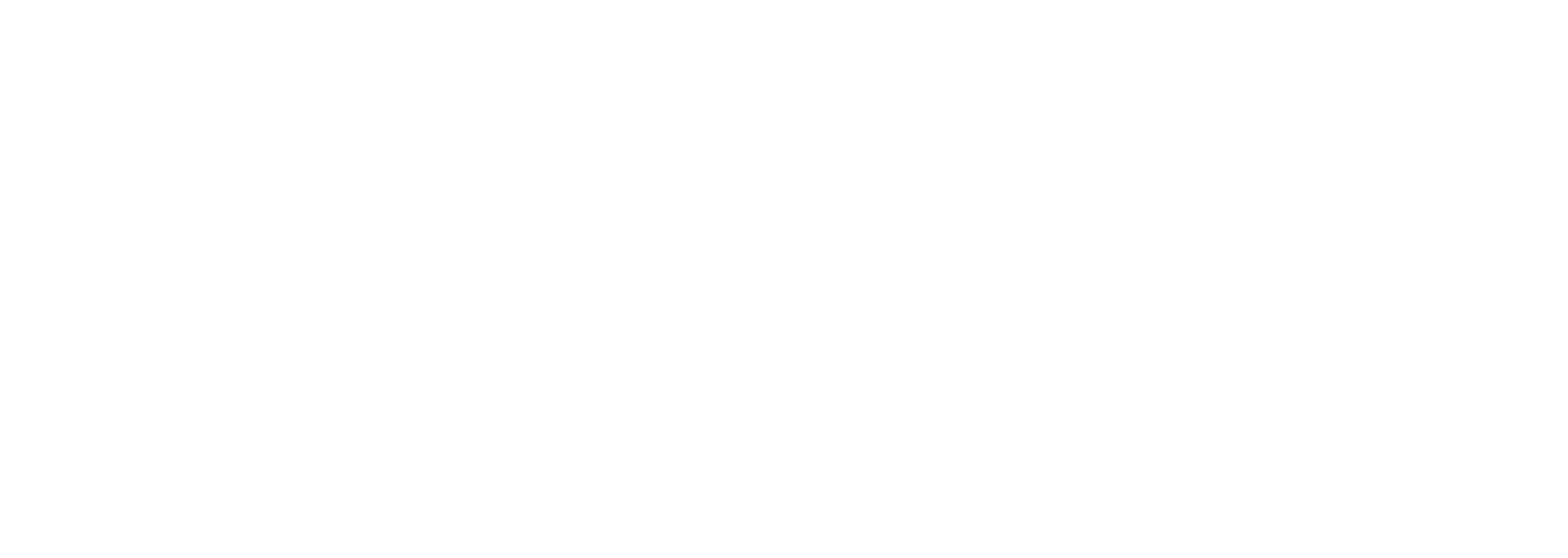 Boards on fire logo