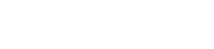 Bixia logo