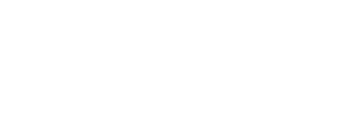 IV Produkt logo